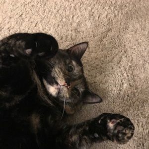 Meet your Posher, Rachelle